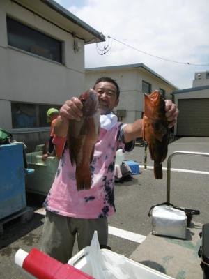 カサゴ・ハタ(マハタ)