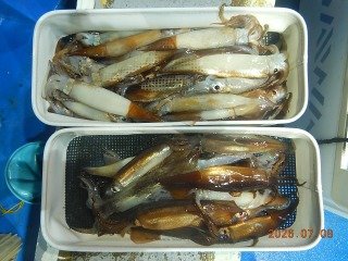 スルメイカ