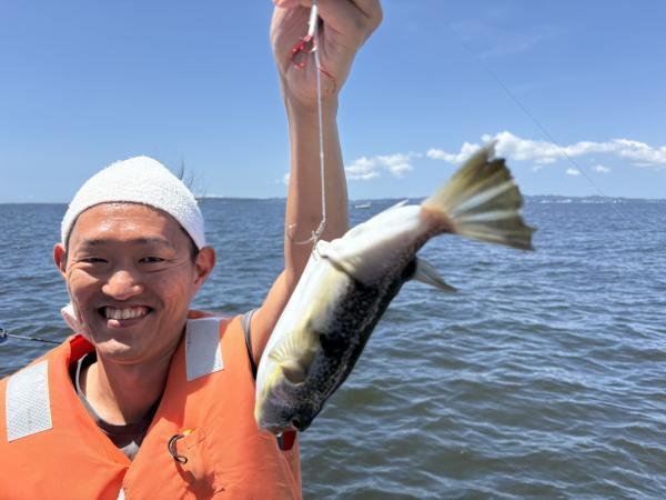 ショウサイフグ