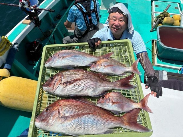 マダイ