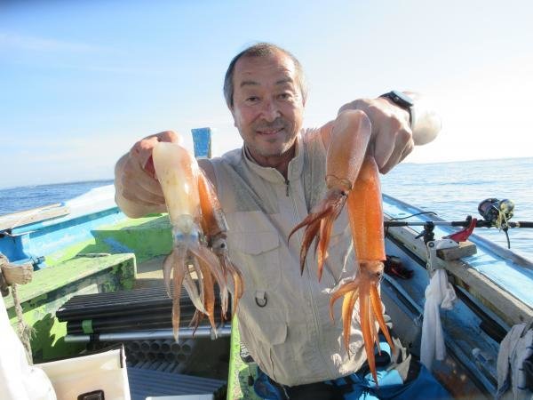 スルメイカ