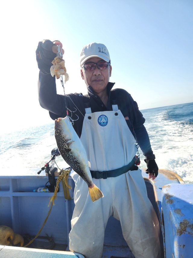 ショウサイフグ
