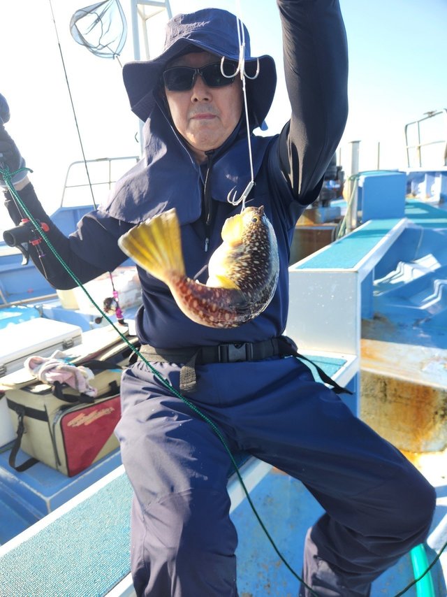 ショウサイフグ