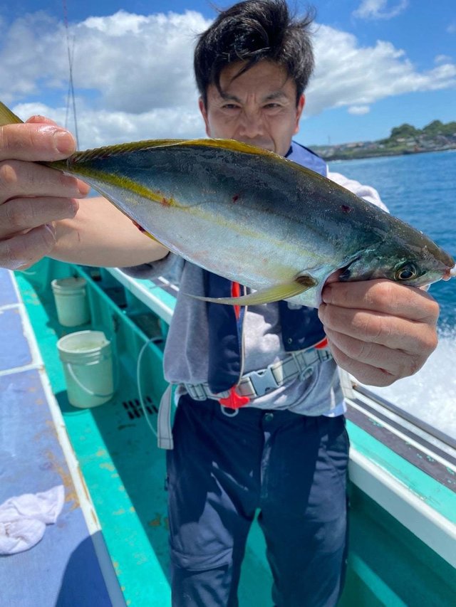 シマアジ