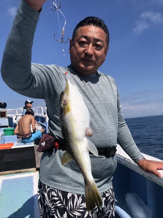ショウサイフグ