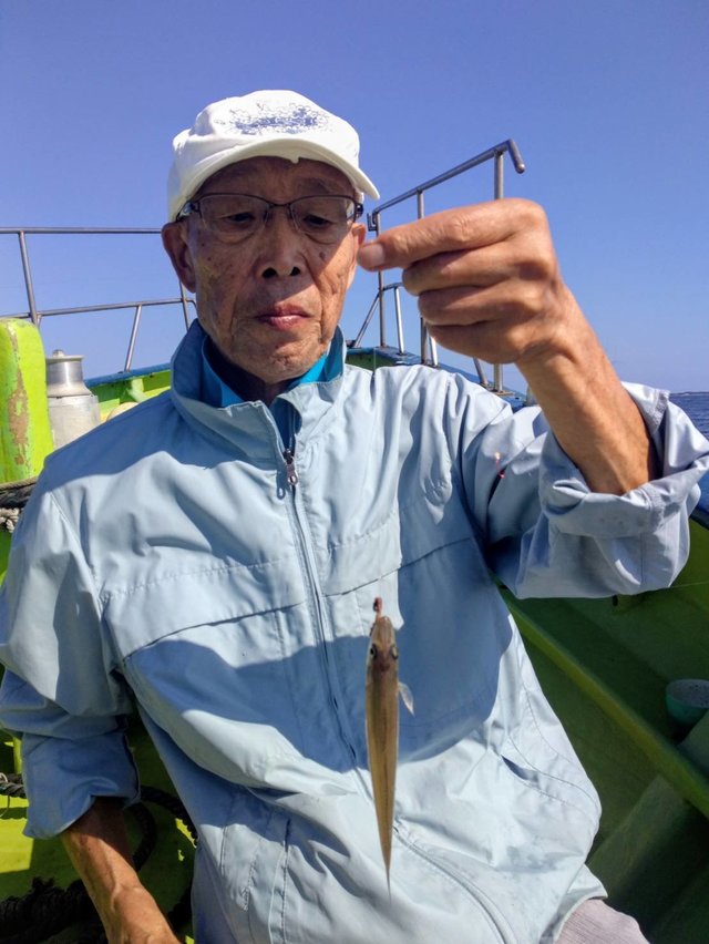 シロギス