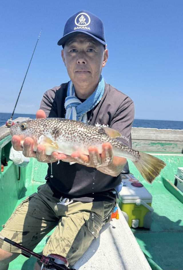 ショウサイフグ
