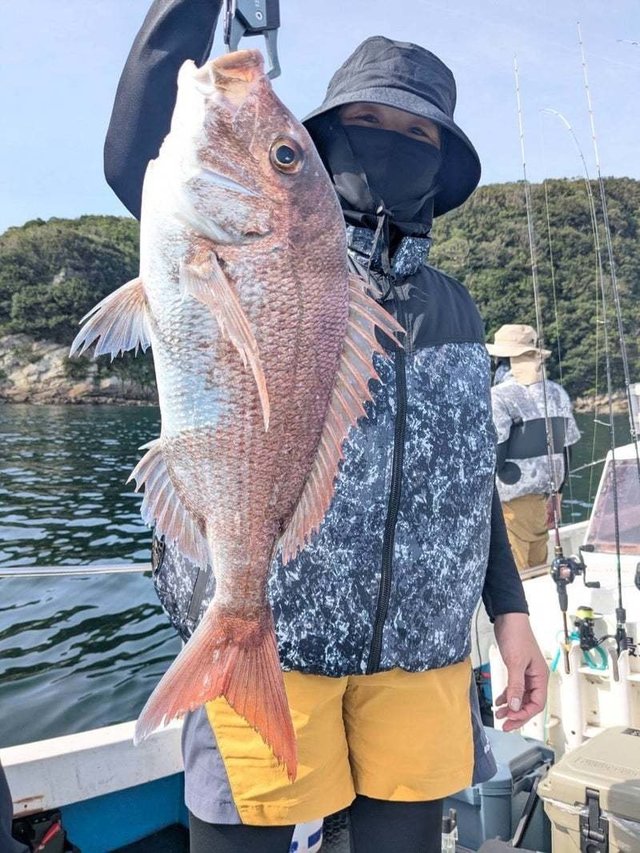 マダイ
