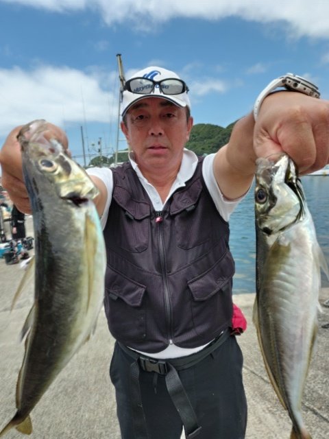 アジ(マアジ)