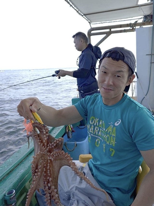 マダコ