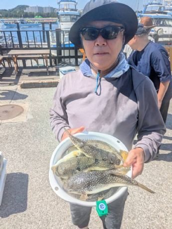 ショウサイフグ