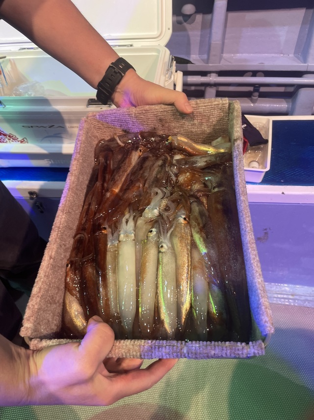 スルメイカ
