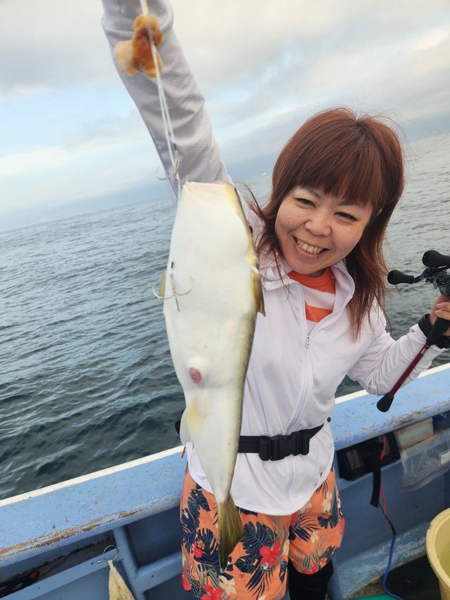 ショウサイフグ