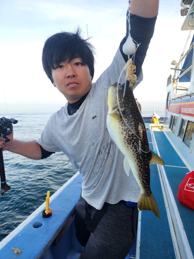 ショウサイフグ