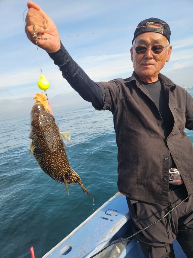 ショウサイフグ