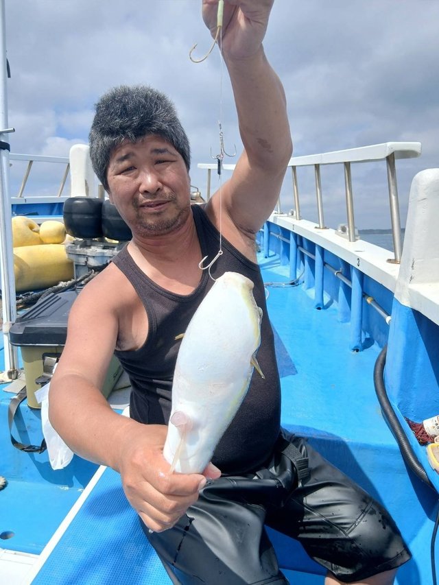 フグ(ショウサイフグ)