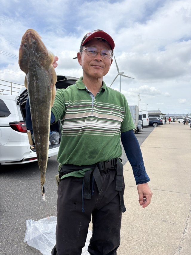 マゴチ