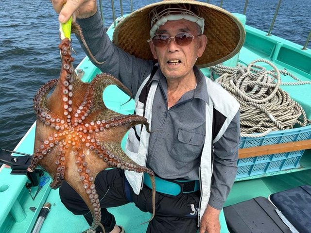 タコ(マダコ)