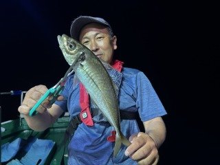 アジ(マアジ)