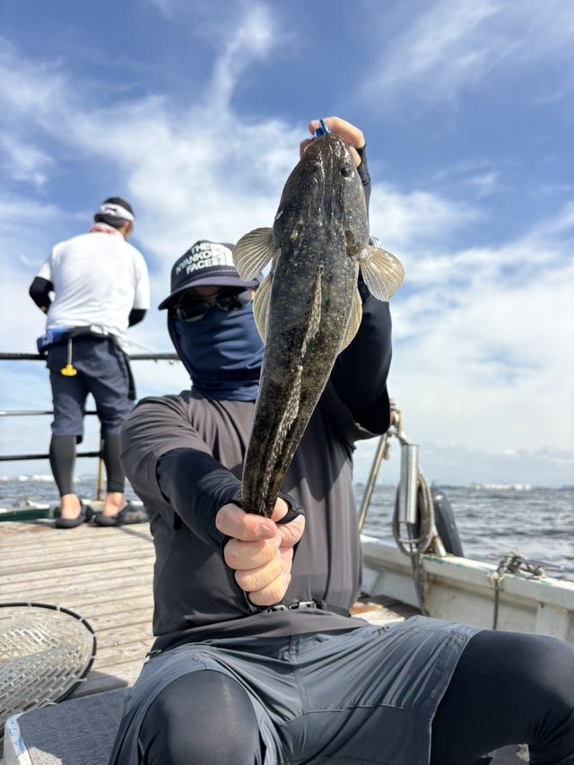 マゴチ