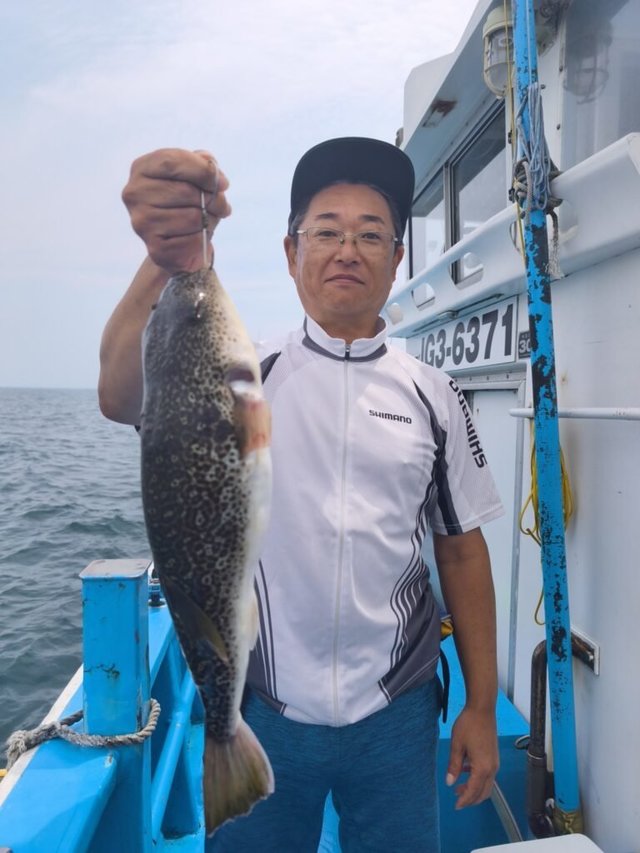 ショウサイフク(ショウサイフグ)