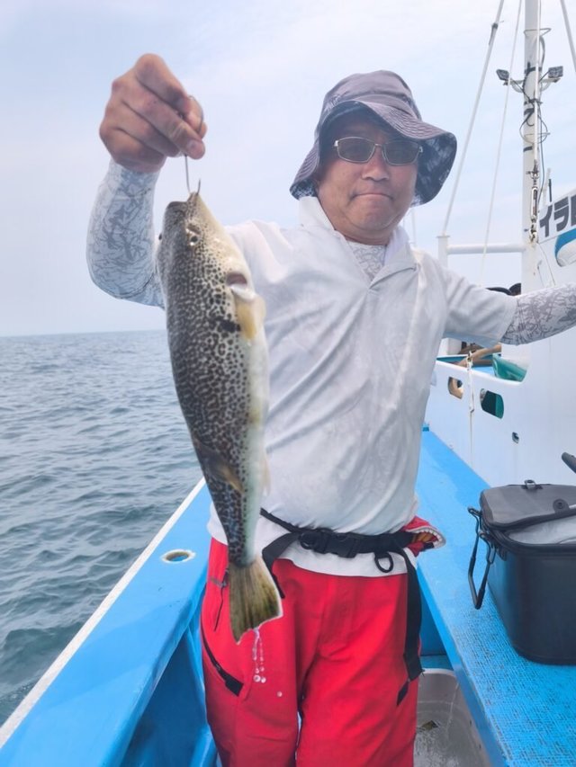 ショウサイフク(ショウサイフグ)