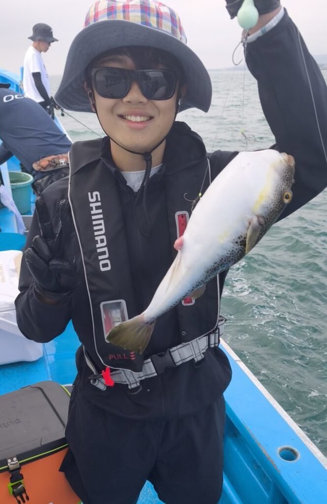 ショウサイフク(ショウサイフグ)