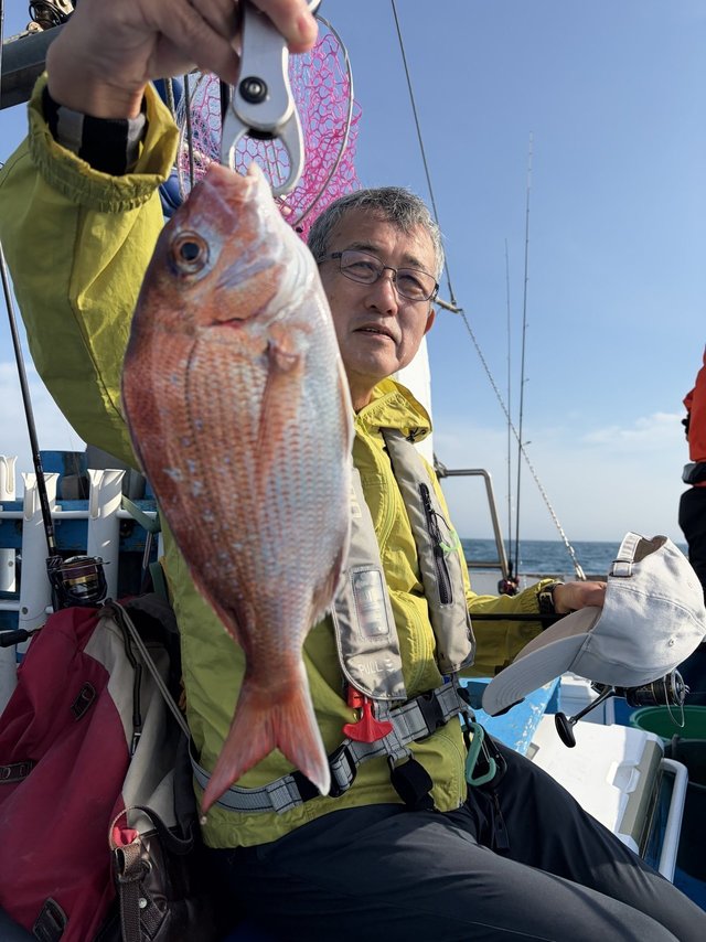 マダイ