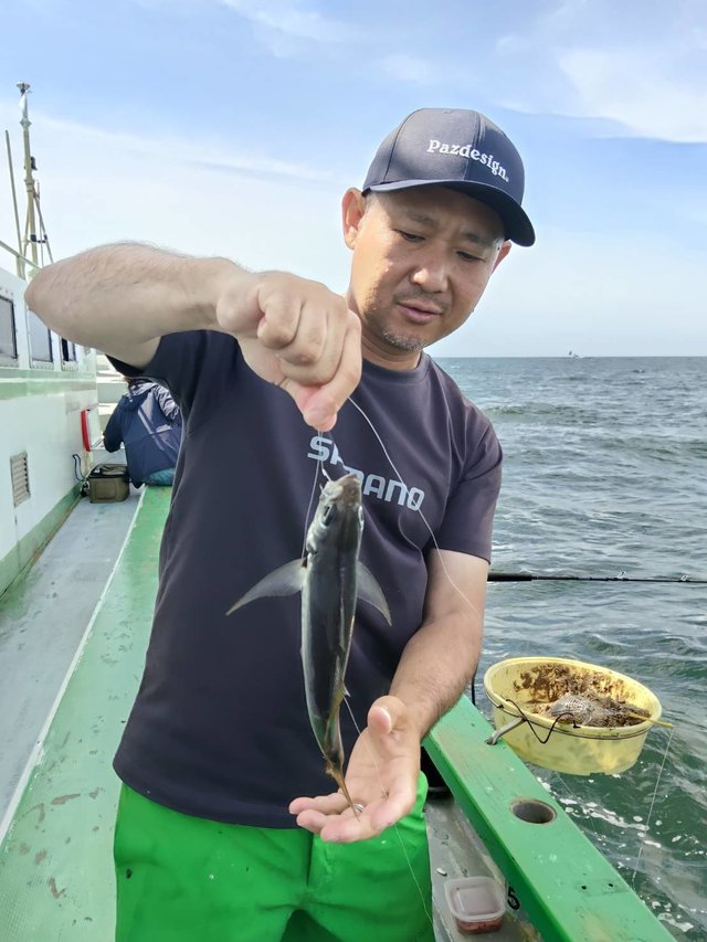 アジ(マアジ)