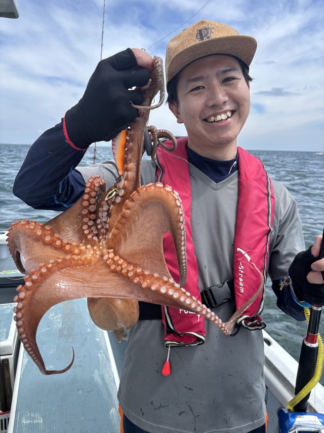 マダコ