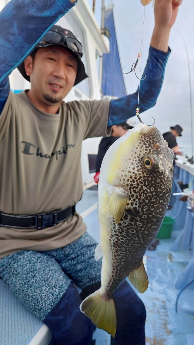 ショウサイフグ