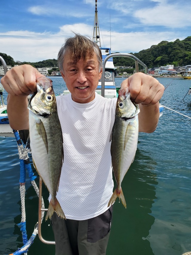 三浦半島（神奈川県）で釣れたマアジの最新釣果、釣り情報【2026年7月】