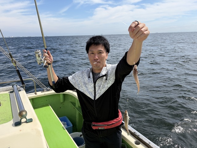 シロギス