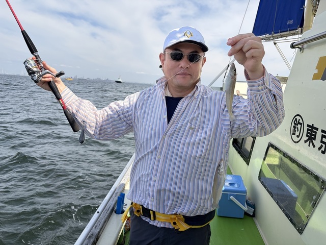 シロギス