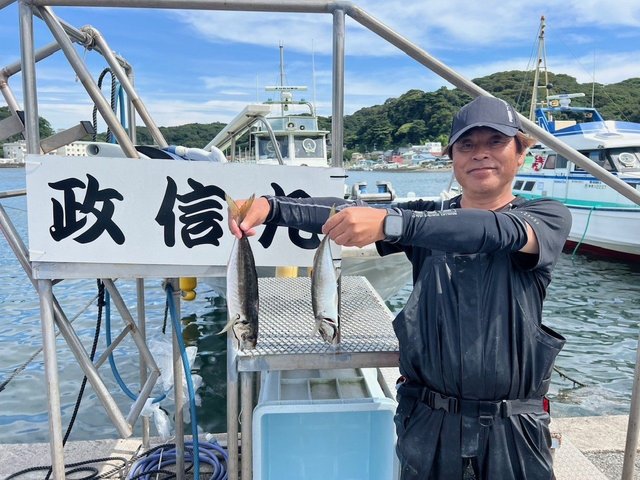 アジ(マアジ)