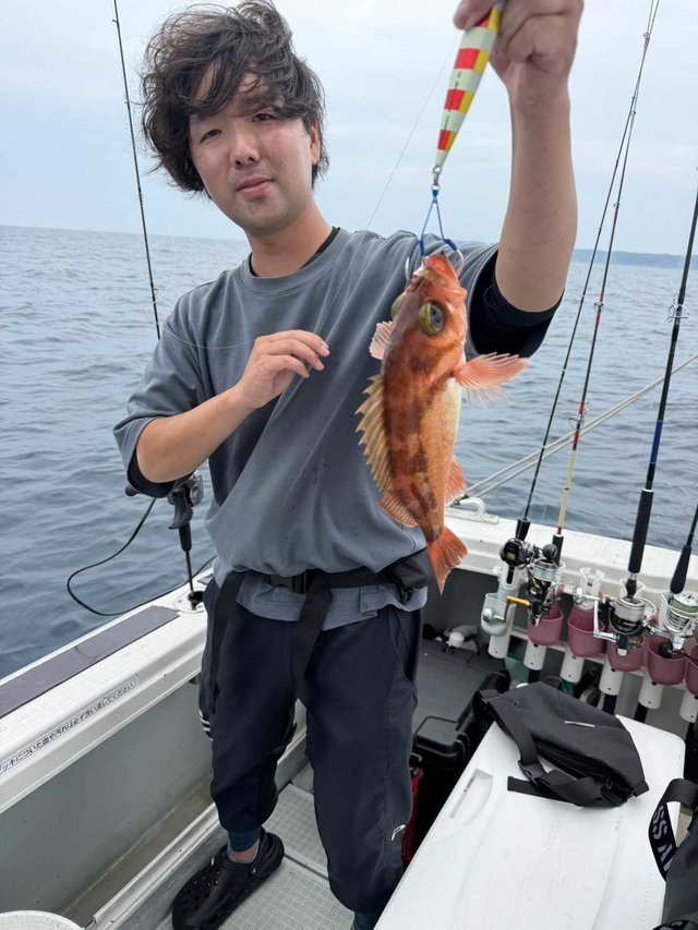 オキメバル(ウスメバル)