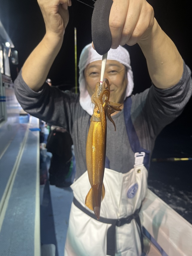 ムギイカ(スルメイカ)