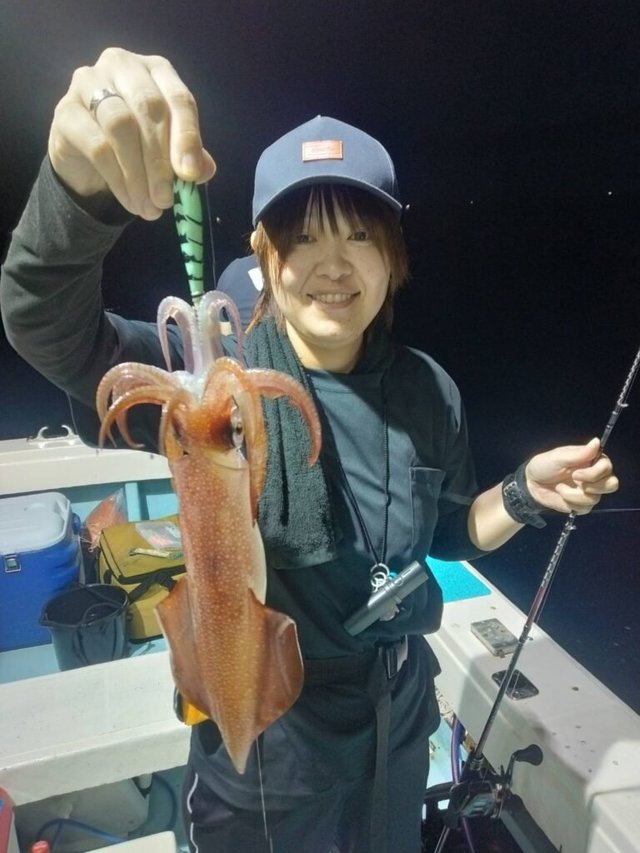 ヤリイカ