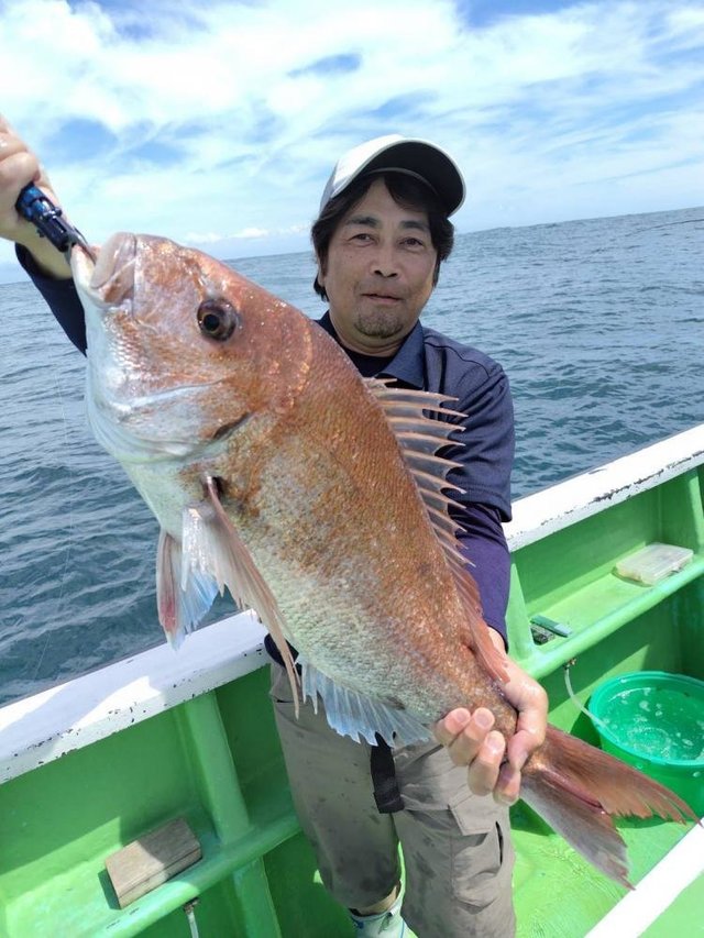 マダイ