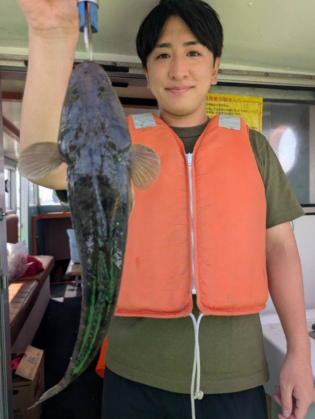マゴチ