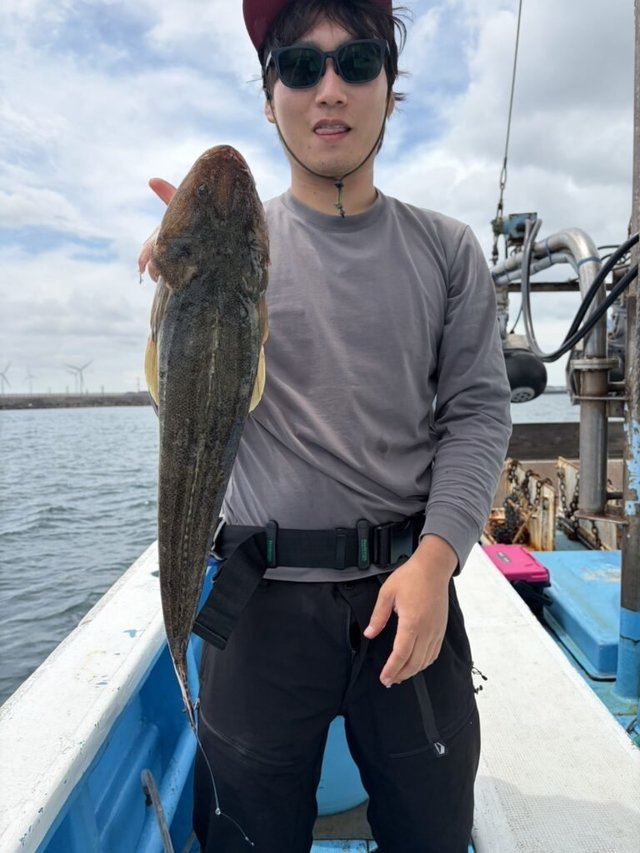 マゴチ