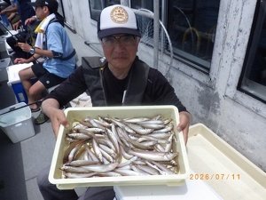 シロギス