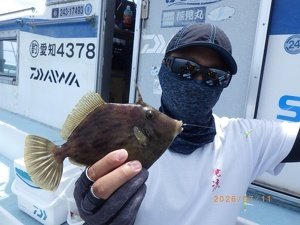 カワハギ