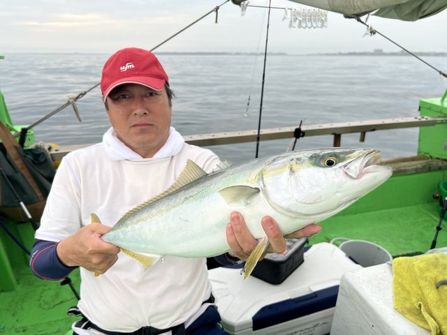 ワラサ(ブリ)