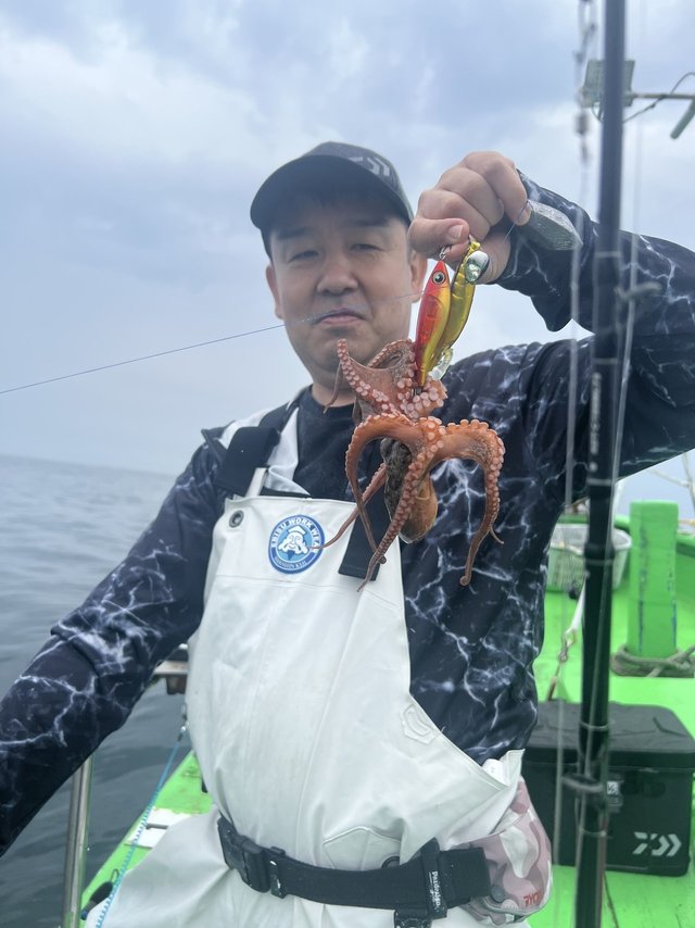 マダコ