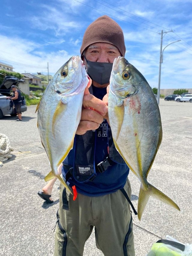 シマアジ