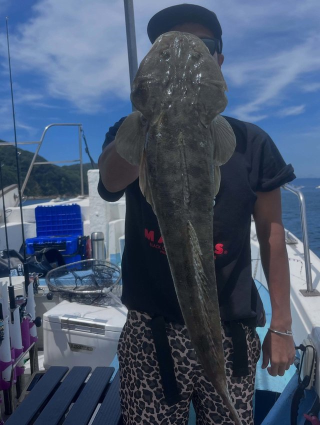 マゴチ