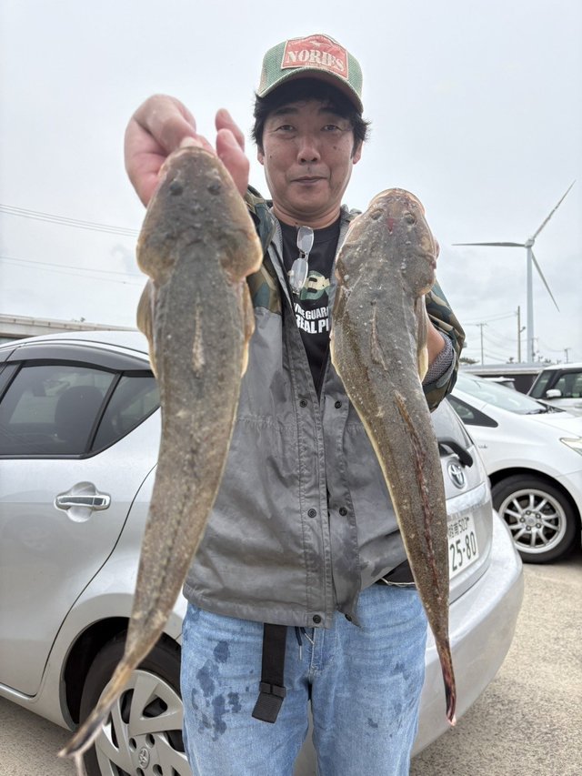 マゴチ