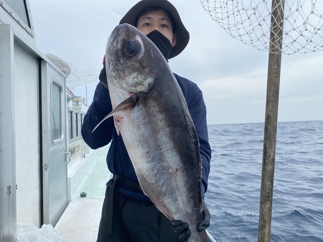 メダイ