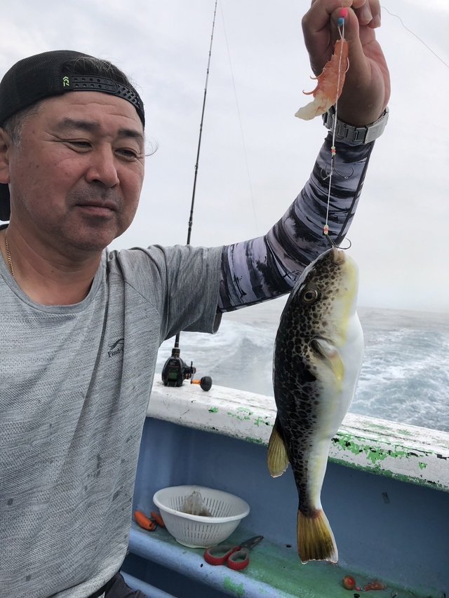 ショウサイフグ
